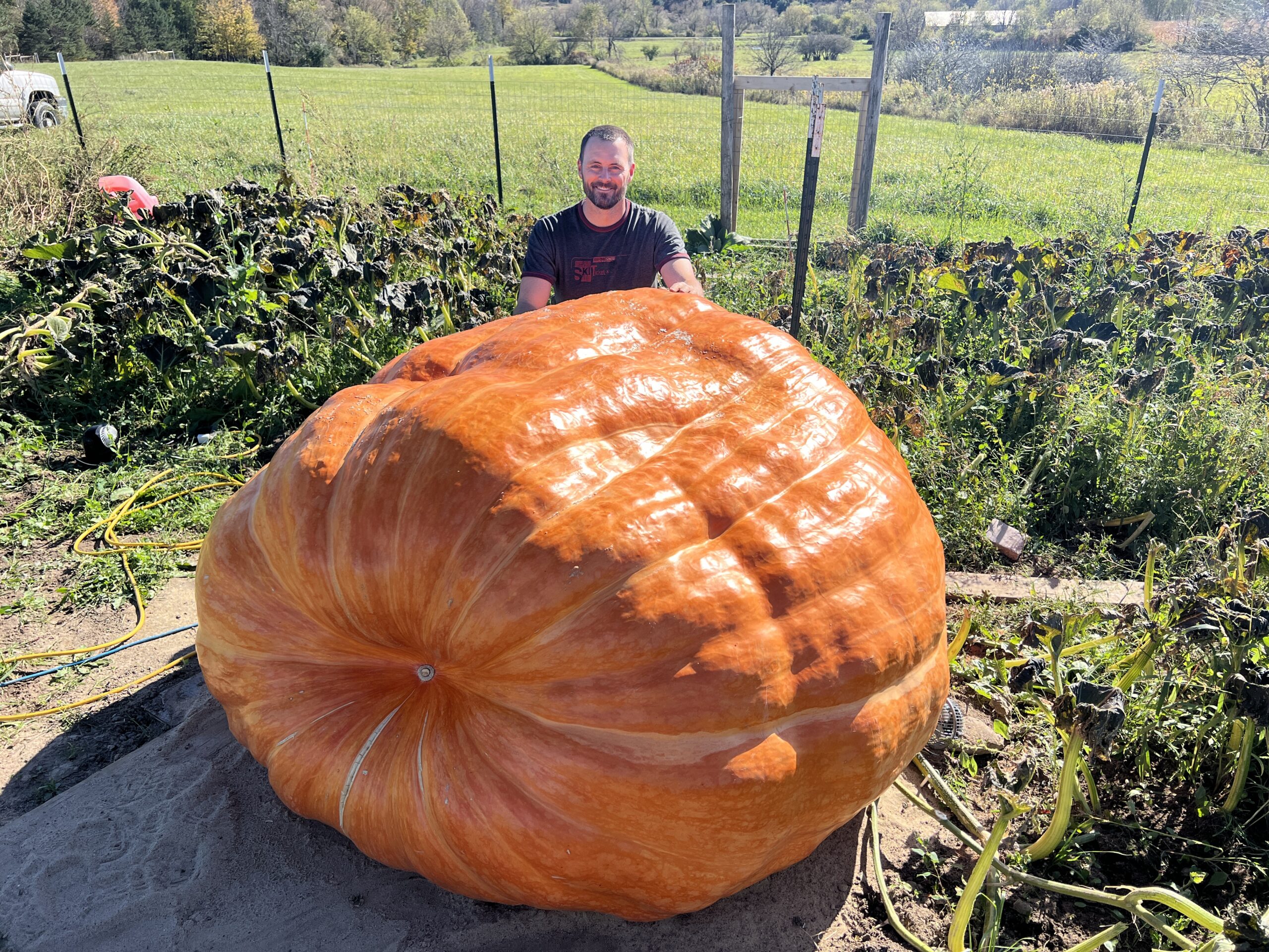Man kneeling behind 1986 pound giant pumpkin