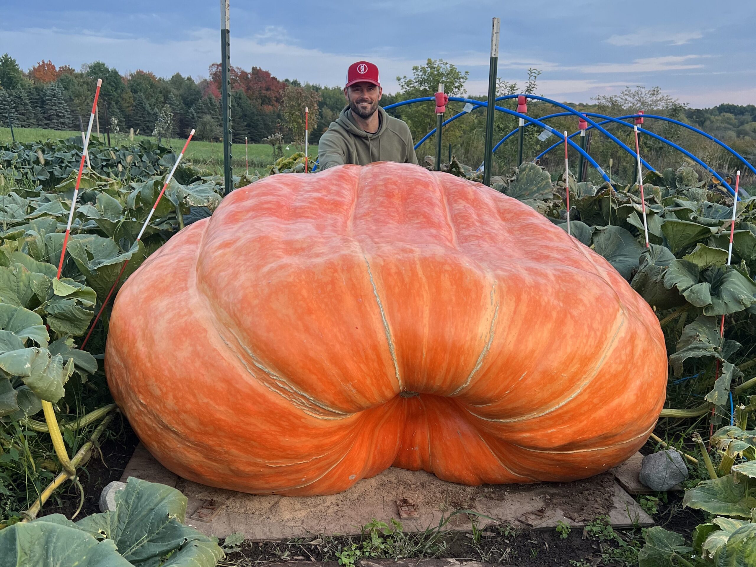 Man kneeling behind 1970.5 pound pumpkin