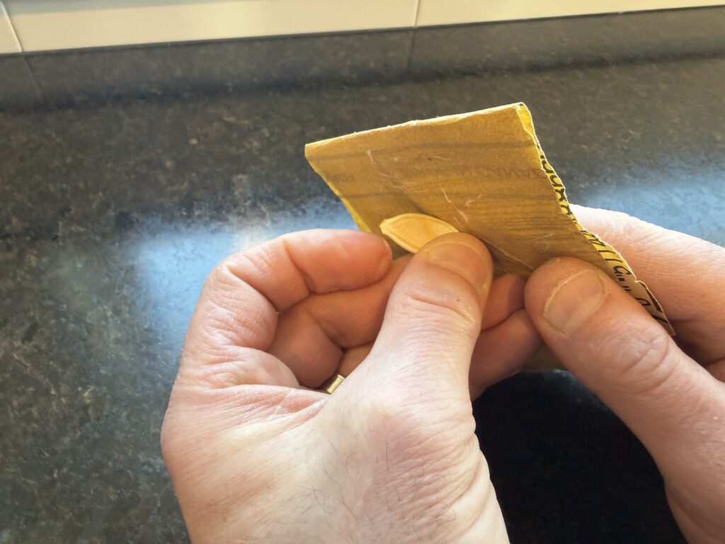 Person sanding edges of giant pumpkin seed